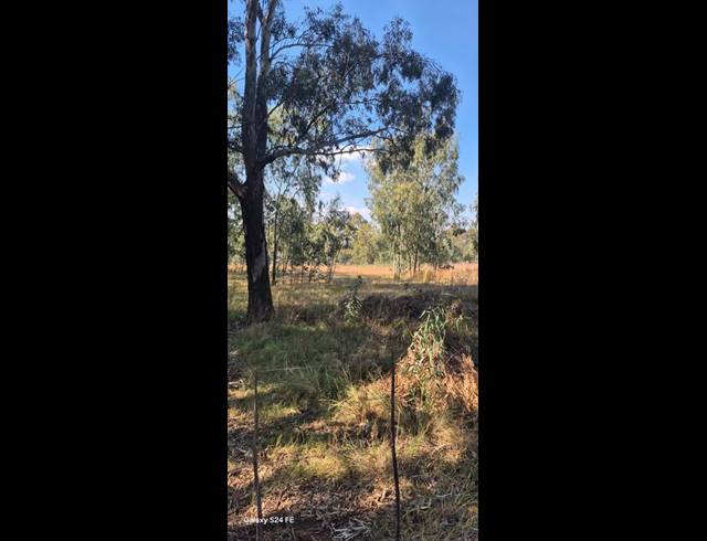 FARM FOR SALE IN MIDVAAL